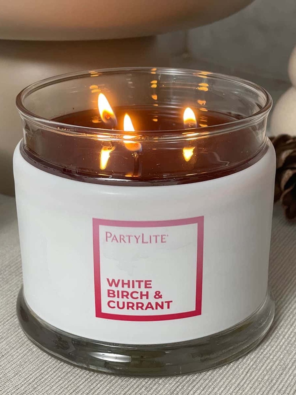Partylite Gray Winter Christmas White Birch And Currant Fruity Fir Jar 3-wick